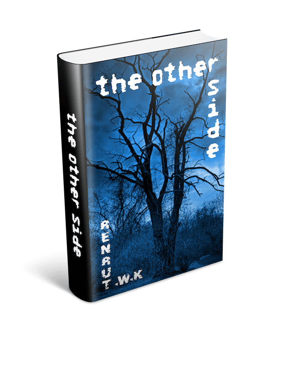 The Other Side by K.W. Turner - Hardcover BLUE
