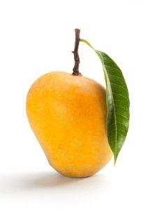 The Alphonso Mango